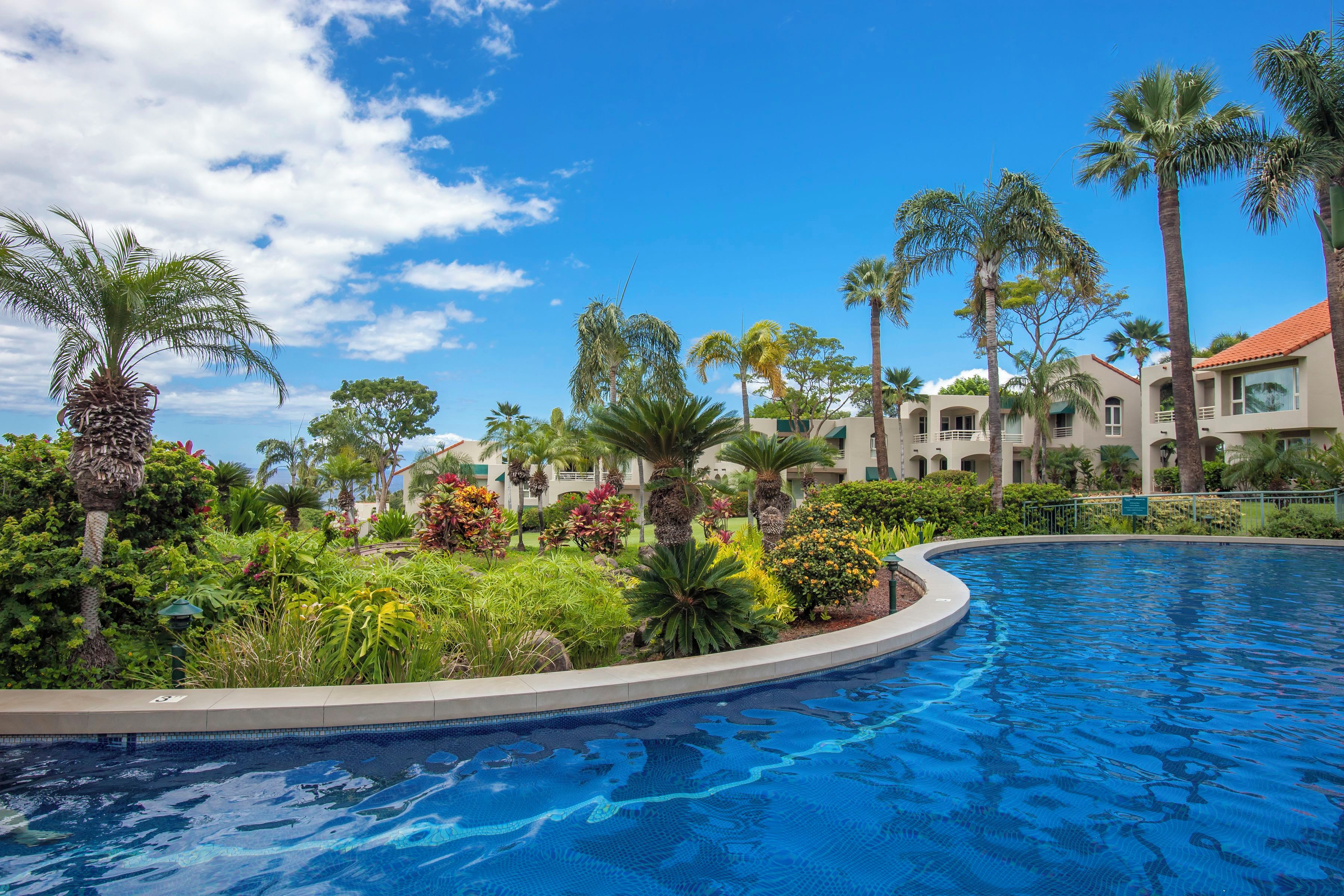A swimming pool surrounded by lush greenery and palm trees, with a clear blue sky above.