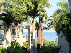 A view of a coastal building with palm trees and a clear view of the sea.