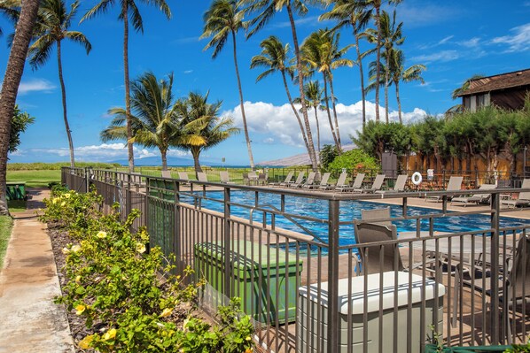 A pool area with lounge chairs, a fenced pool, and palm trees.