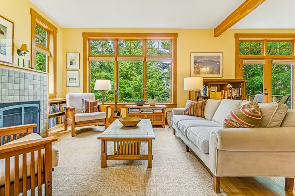 TV, fireplace, DVD player, books