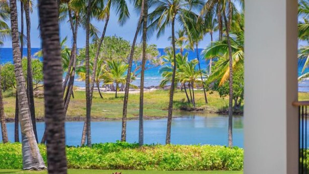 Une vue d’un paysage tropical avec des palmiers et une étendue d’eau.