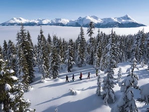 Un paysage enneigé où l’on voit un groupe de personnes se promener, entourées d’arbres et de montagnes couverts de neige.