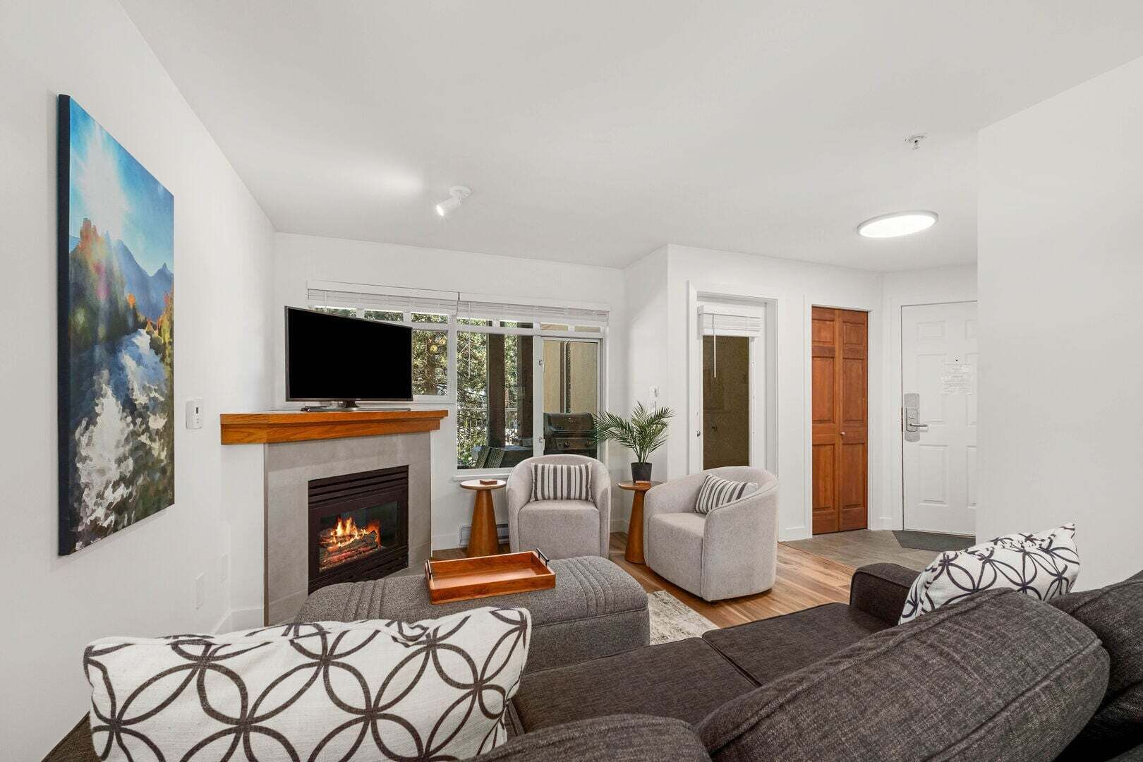 TV, fireplace