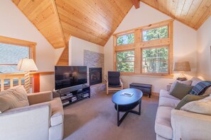 TV connectée, cheminée, lecteur de DVD, livres