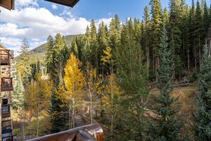 Property grounds - True Ski-In/Ski-Out w/ Two Balconies & Just a Short Walk to Shops and Dining (Keystone)