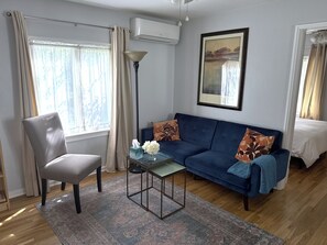 Smart TV, DVD player, books