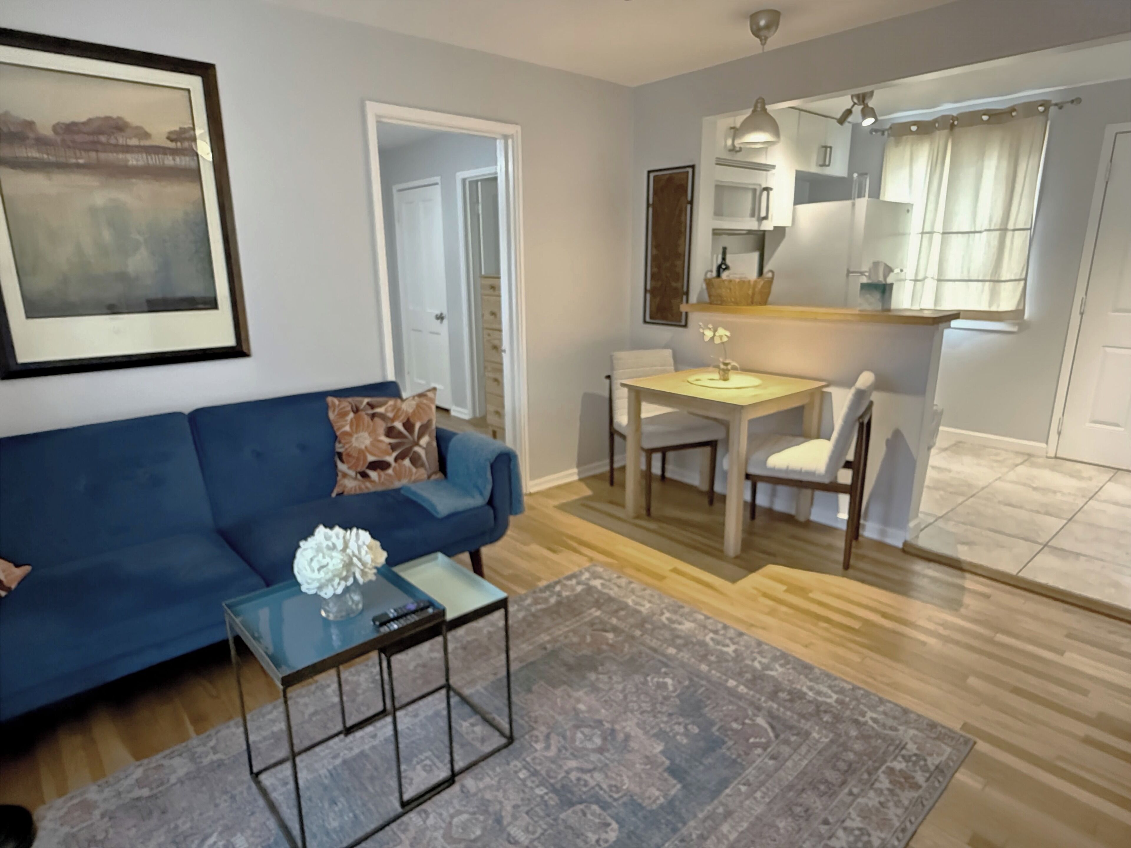 Smart TV, DVD player, books