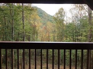 Guests can enjoy a serene forest view from the comfort of their cabin, surrounded by trees and a majestic mountain backdrop.
