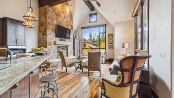 TV, fireplace, video games