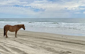 Beach nearby