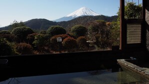 A view of Mount Fuji from inside a building, with a garden in the foreground. - Guesthouse Sakuya (Fujikawaguchiko)