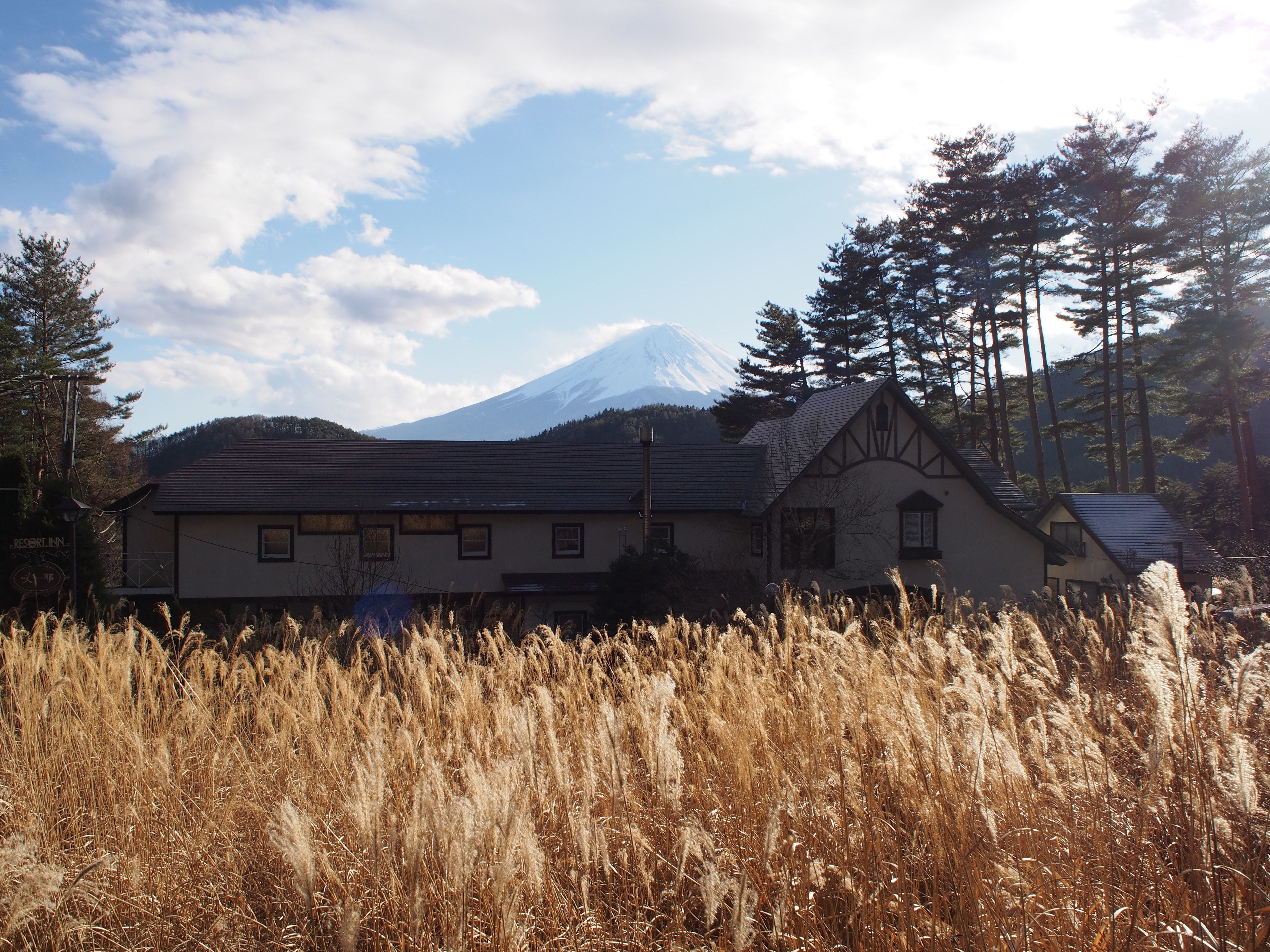 A two-story building with a gabled roof, surrounded by tall grass and trees, with a mountain in the background.