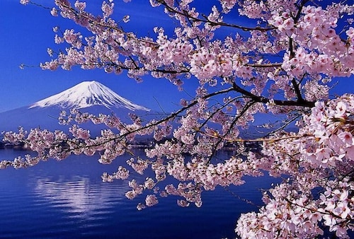 湖