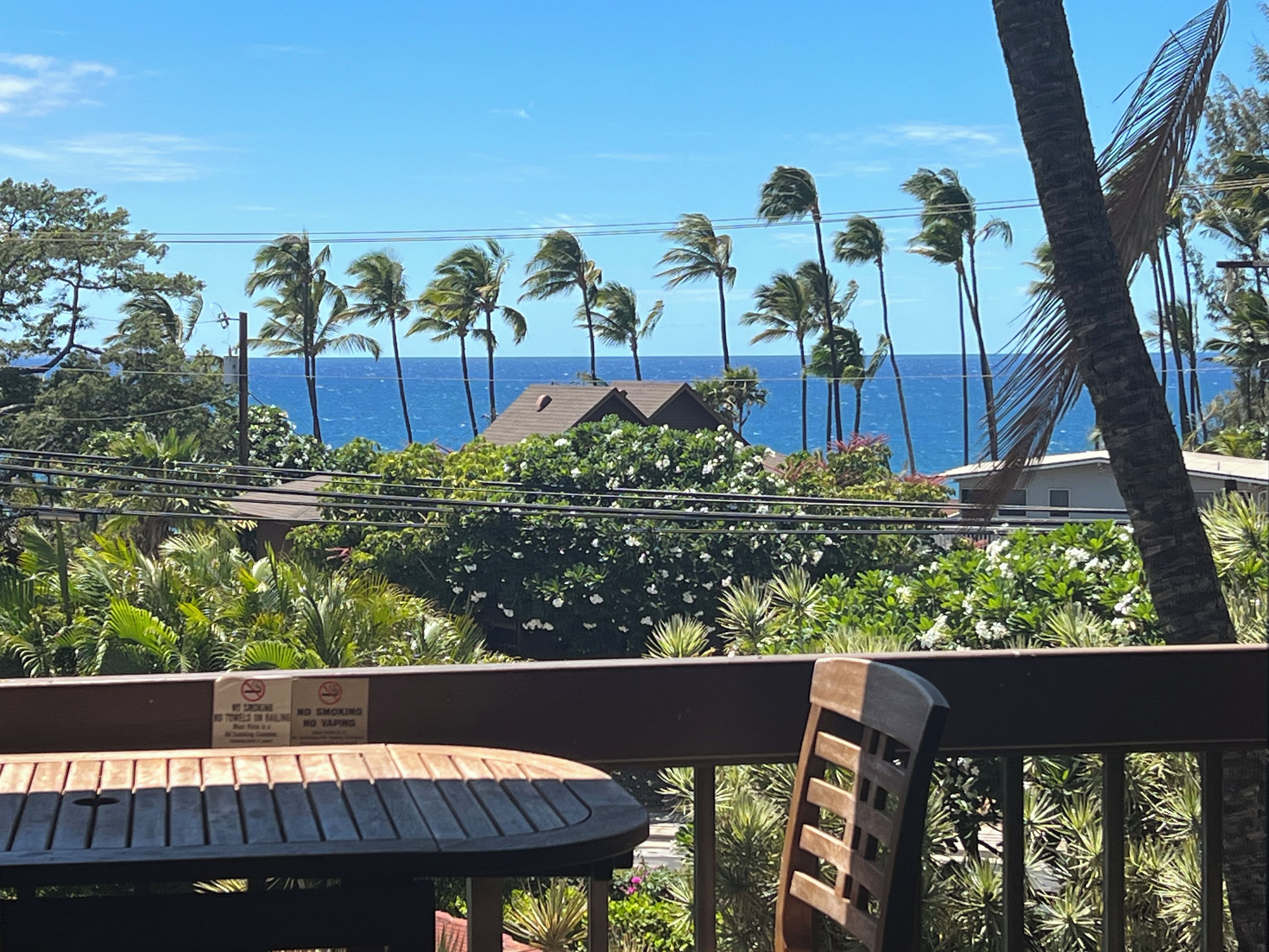 Blick von einem Balkon auf einen Strand mit Palmen und blauem Himmel.