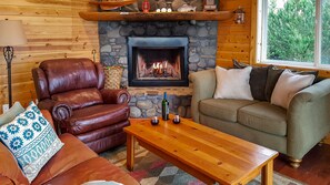 Smart TV, fireplace, DVD player, books