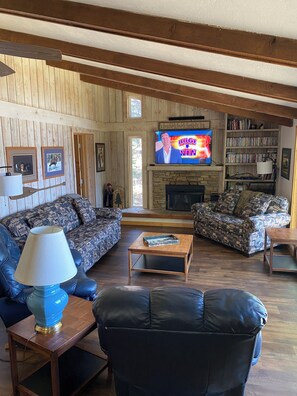 Smart TV, chimenea, reproductor de DVD, libros