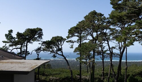 Ocean Pines #3 - Pebble Beach Condo - In the Treetops