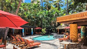 A poolside area with lounge chairs, umbrellas, and a tropical setting. - Bamboo Hotel - Privately owned Queen Studio - Balcony, Steps to Waikiki Beach (Waikiki)