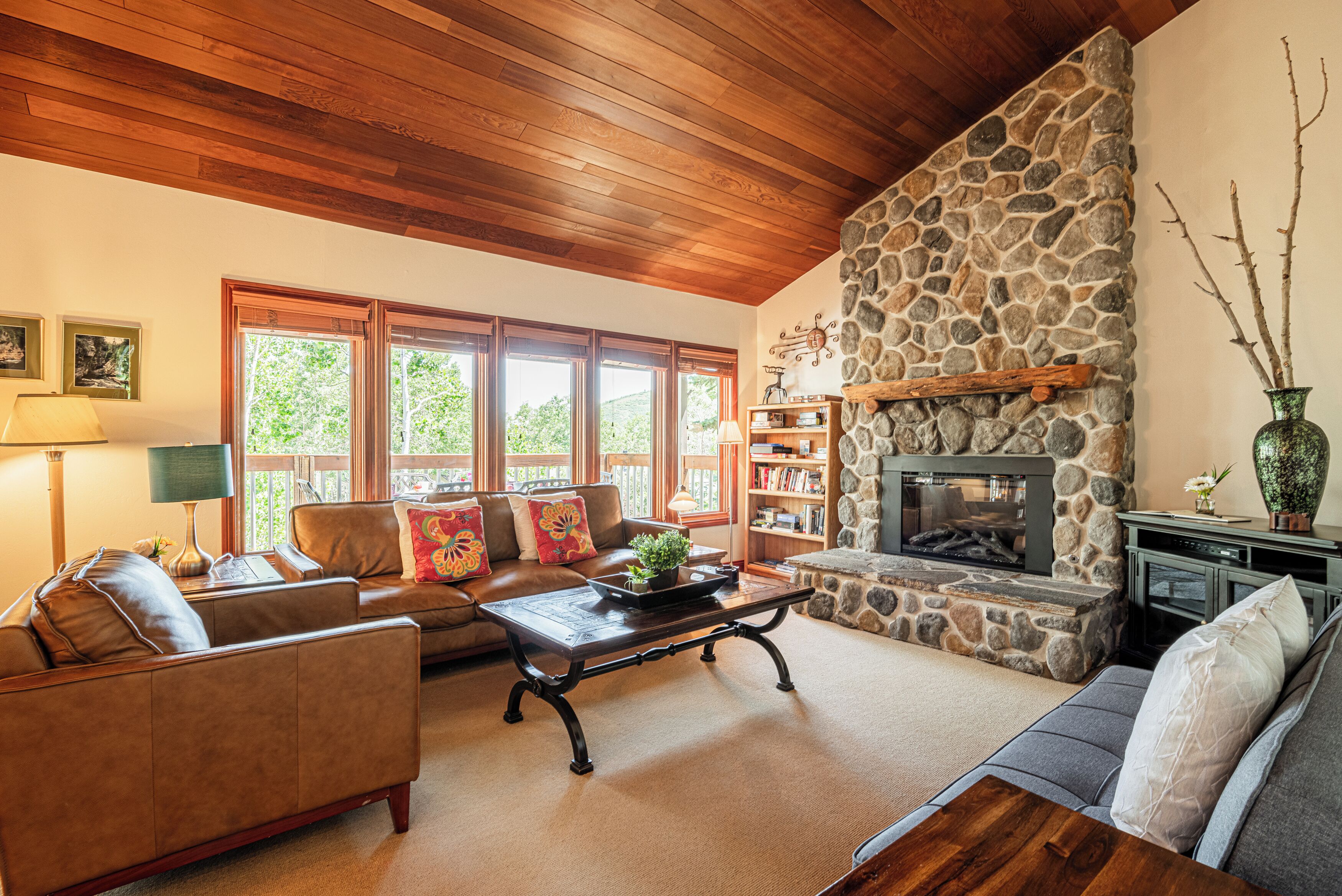 Televisión, chimenea