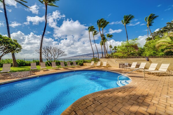 A swimming pool with lounge chairs, palm trees, and a clear sky.