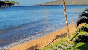 Une plage offrant une vue dégagée sur l’océan, un rivage sablonneux et une rangée de transats.