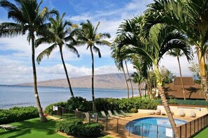 Outdoor pool, a heated pool - Unwind by the Waves: Kihei Beach #203, Prime Beachfront Tropical Escape! (Kihei, Maui)