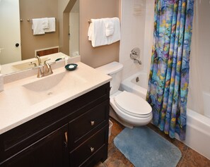 Hair dryer, towels - Vintage Vail Chalet Above the Village! Short Walk to Slopes, Restaurants, Shops (Vail)