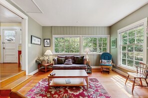 TV, fireplace, DVD player, books