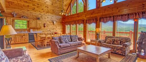 TV, fireplace, video games, DVD player