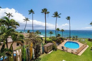 Ein Garten mit Swimmingpool, Palmen und Blick auf den Ozean.
