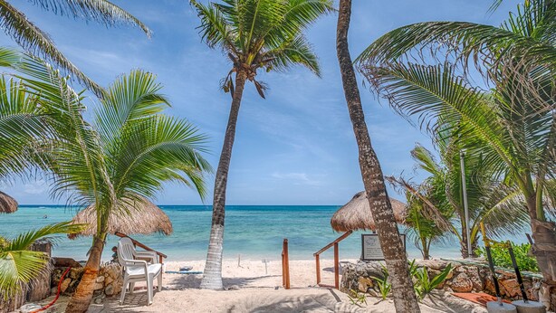 A beach with palm trees, a thatched-roof hut, and a wooden chair. - Spacious beachfront condo with onsite restaurant, pool, AC and WiFi! (AKUMAL)