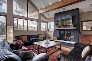 TV, fireplace