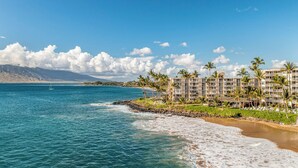A beachfront hotel with multiple floors, palm trees, and a view of the ocean.