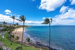 A beach with palm trees, a clear sky, and a view of the ocean. - Dazzling Oceanfront Views: Kamaole Nalu 606 - Absolutely Dreamy End condo! (Kihei, Maui)
