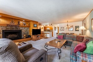 电视、壁炉、DVD 播放器