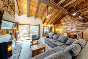 TV, fireplace, offices, computer monitors