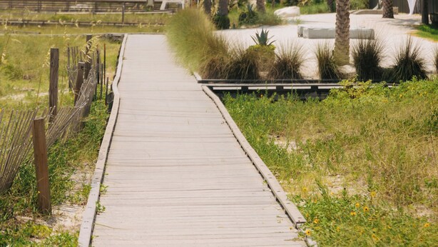 Un paseo marítimo de madera que conduce a un edificio moderno con palmeras.