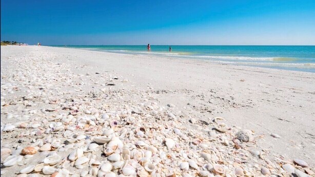 En strand med hvidt sand og spredte søshells.