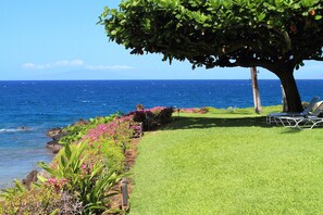 Property grounds - Spectacular Corner Oceanfront Escape: Luxurious Makena Surf Resort G-206 (Makena, Maui)