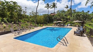 A rectangular swimming pool with a clear blue water surface, surrounded by lounge chairs and umbrellas, set against a backdrop of palm trees and tropical vegetation.