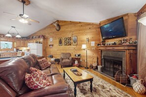 TV, lareira, DVD player