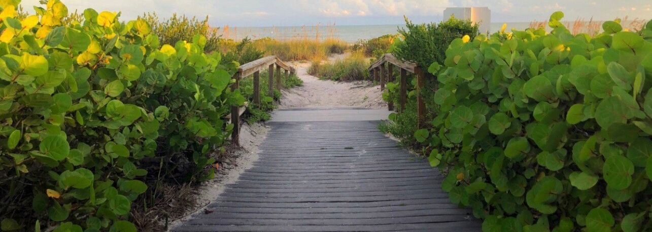 Een houten looppad dat naar een strand leidt, omringd door weelderige begroeiing.