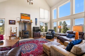 Televisión, chimenea, reproductor de DVD y libros