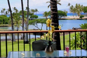 Property grounds - Oceanfront Mauna Lani Terrace Condo - Great Sunset Views! (Kamuela)
