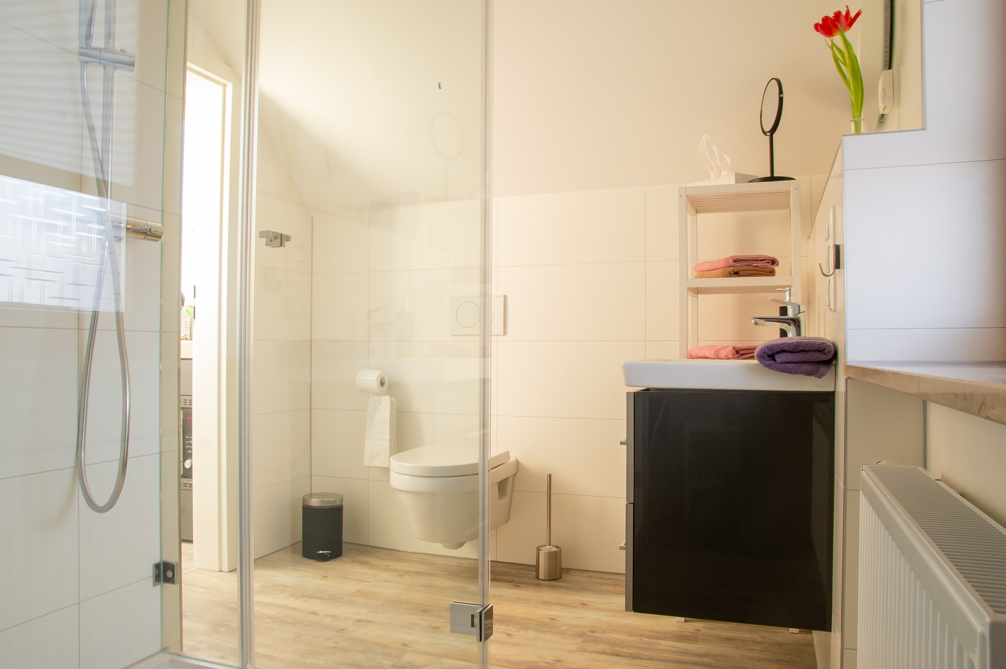 A modern bathroom with a glass shower enclosure, a toilet, a sink with a mirror, and a radiator.