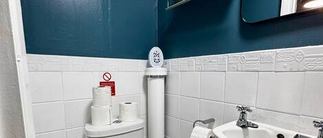 A bathroom with a toilet, sink, and a shelf with toiletries.