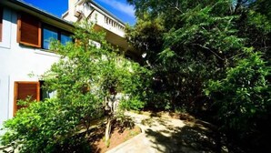 Un edifici amb un balcó, envoltat de vegetació abundant i un camí de pedra.