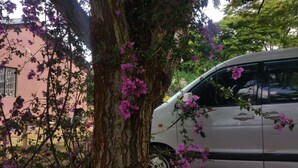 Jardín