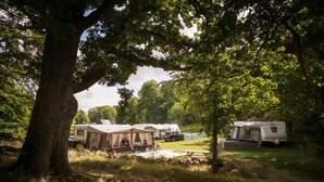 Un terrain de camping aménagé pour accueillir des camping-cars et des tentes, entouré d’arbres et de zones herbeuses.