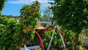 Una escalera con balaustres blancos, una silla mecedora roja y blanca, y plantas en macetas.